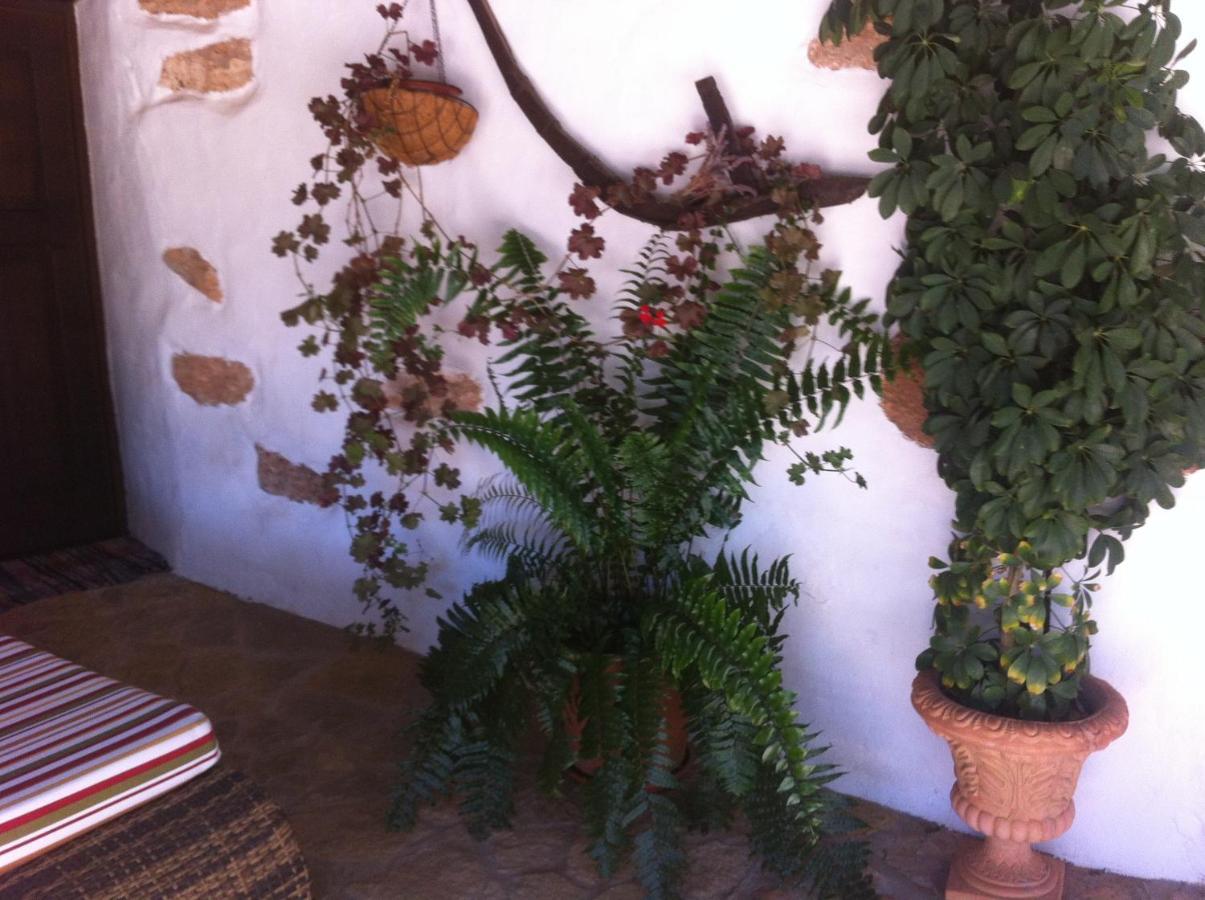 Gasthaus Casa Abuelo Rafael Llanos de la Concepción Zimmer foto